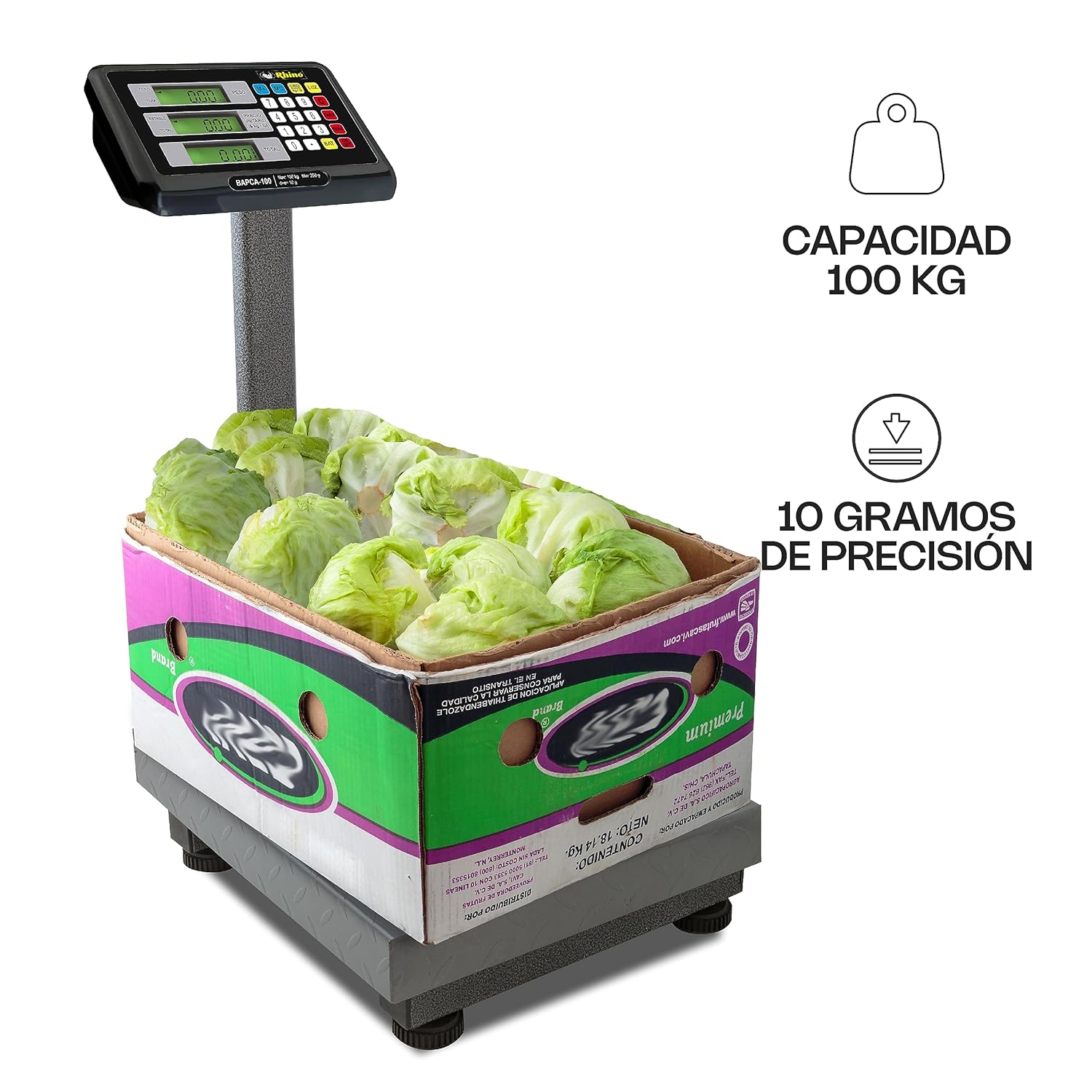 Bascula Plataforma Plegable 100 kg Rhino BAPCA-100