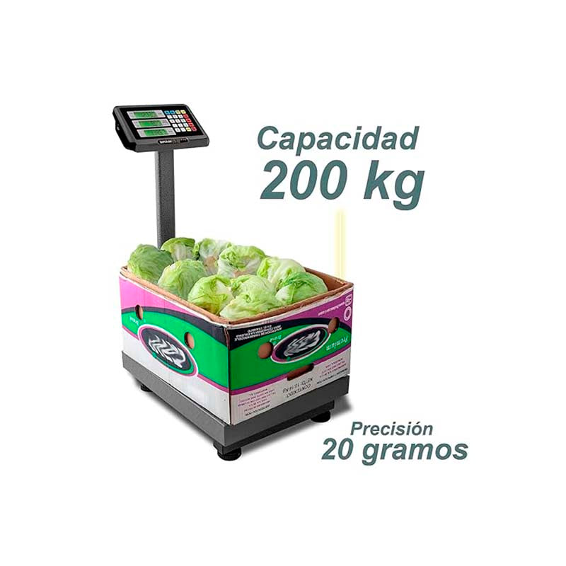Bascula Plataforma Plegable 200 kg Rhino BAPCA-200