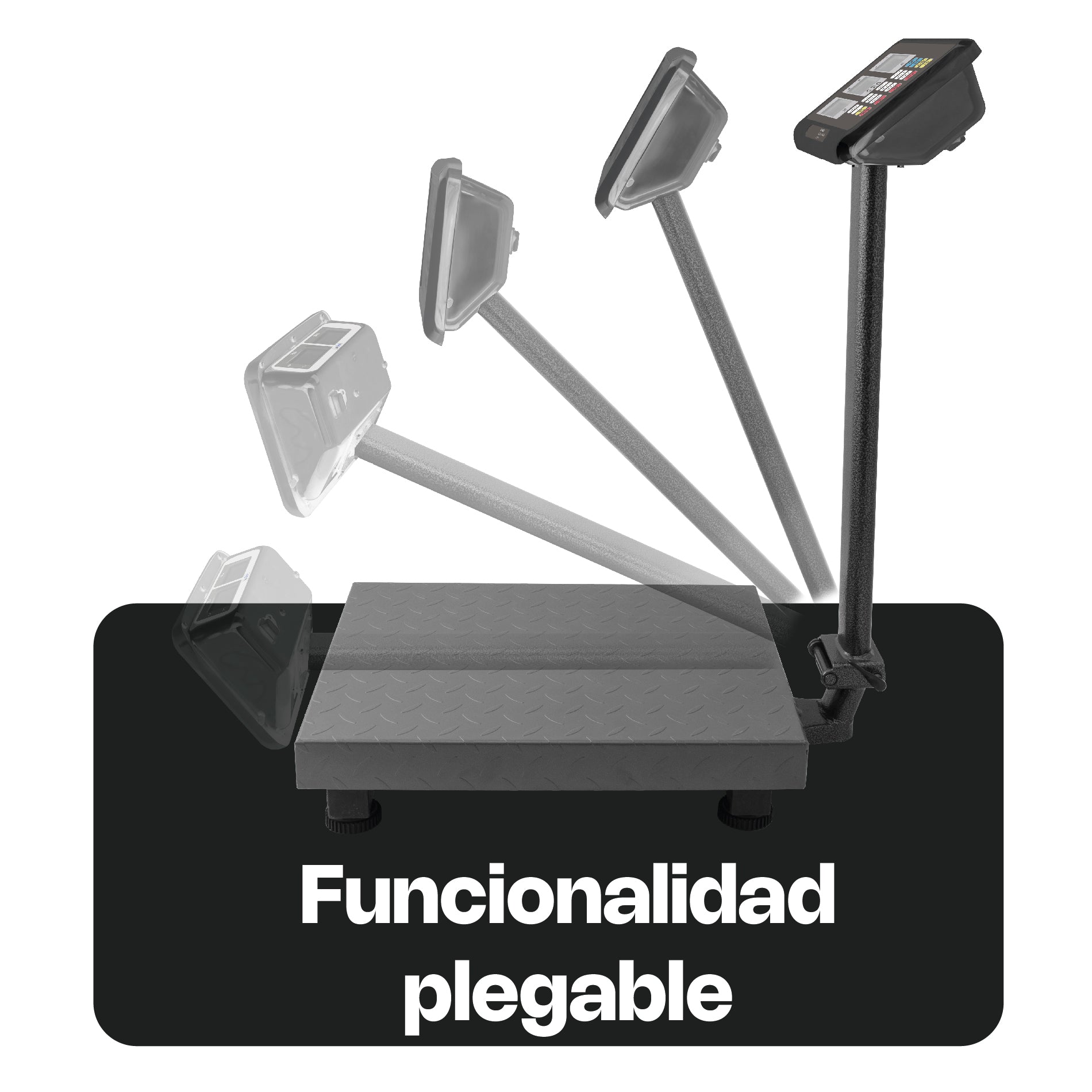 Báscula de Plataforma Plegable 80 kg Rhino