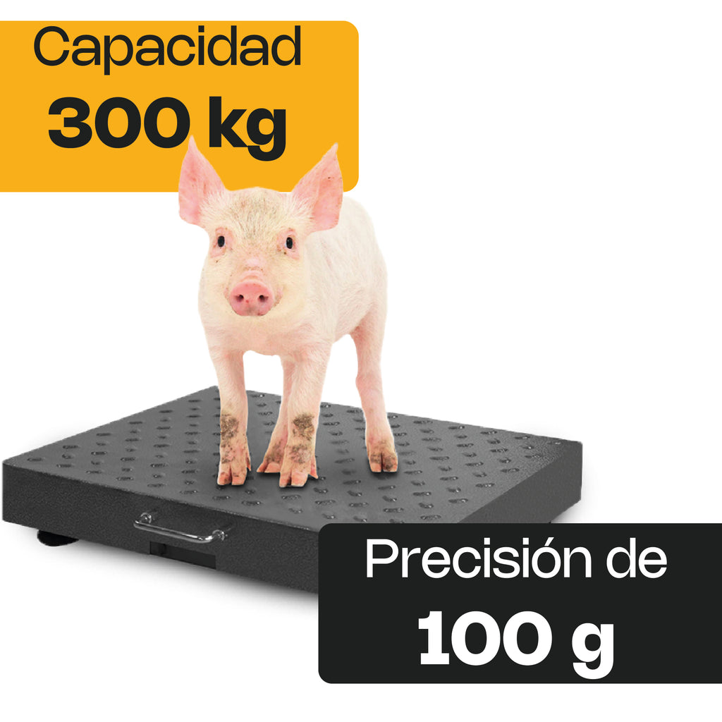 Báscula de Plataforma Inalámbrica 300 kg Rhino