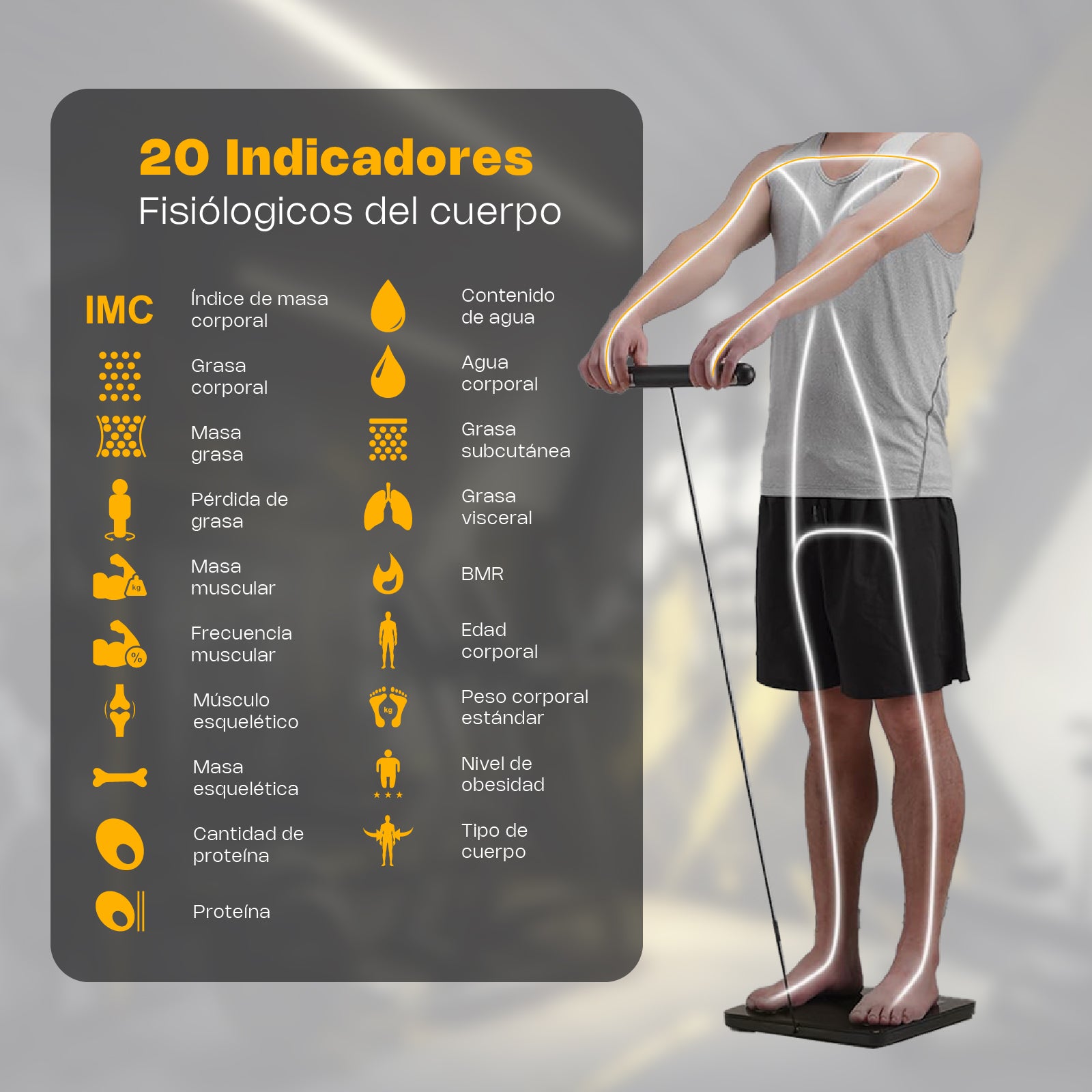 Báscula Inteligente de Pesaje Corporal con 8 Electrodos Rhino