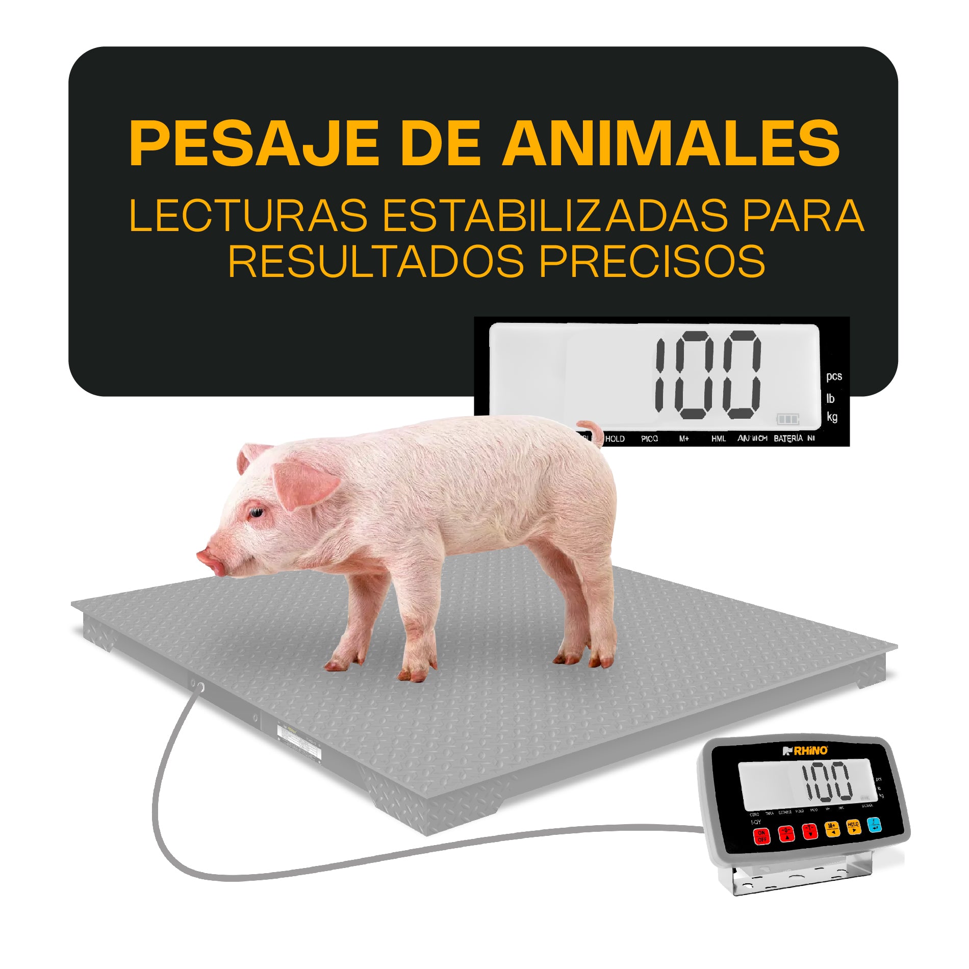Indicadores Para Plataforma Báscula Electrónica Rhino I-QY