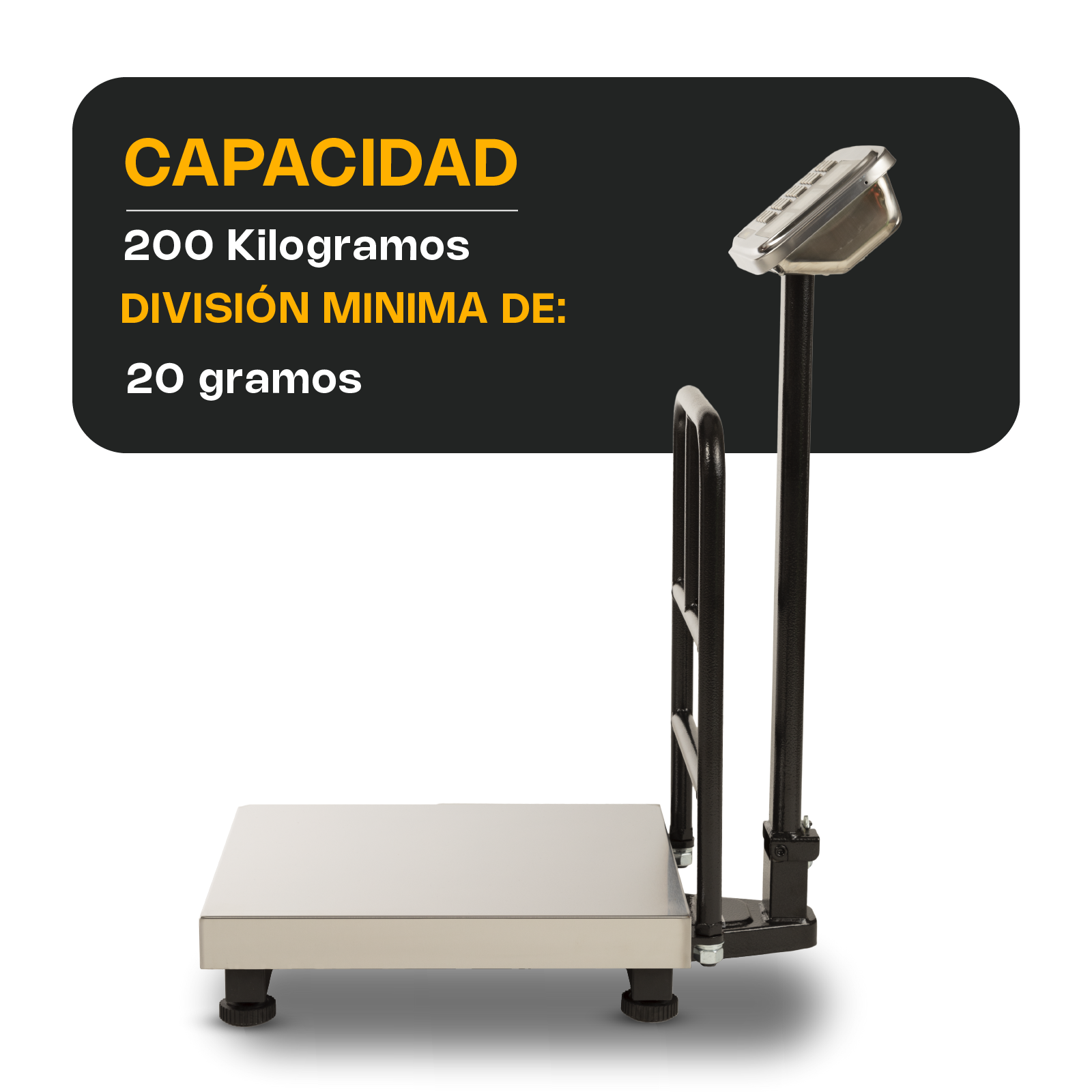 Báscula de Plataforma Plegable 200 kg Rhino
