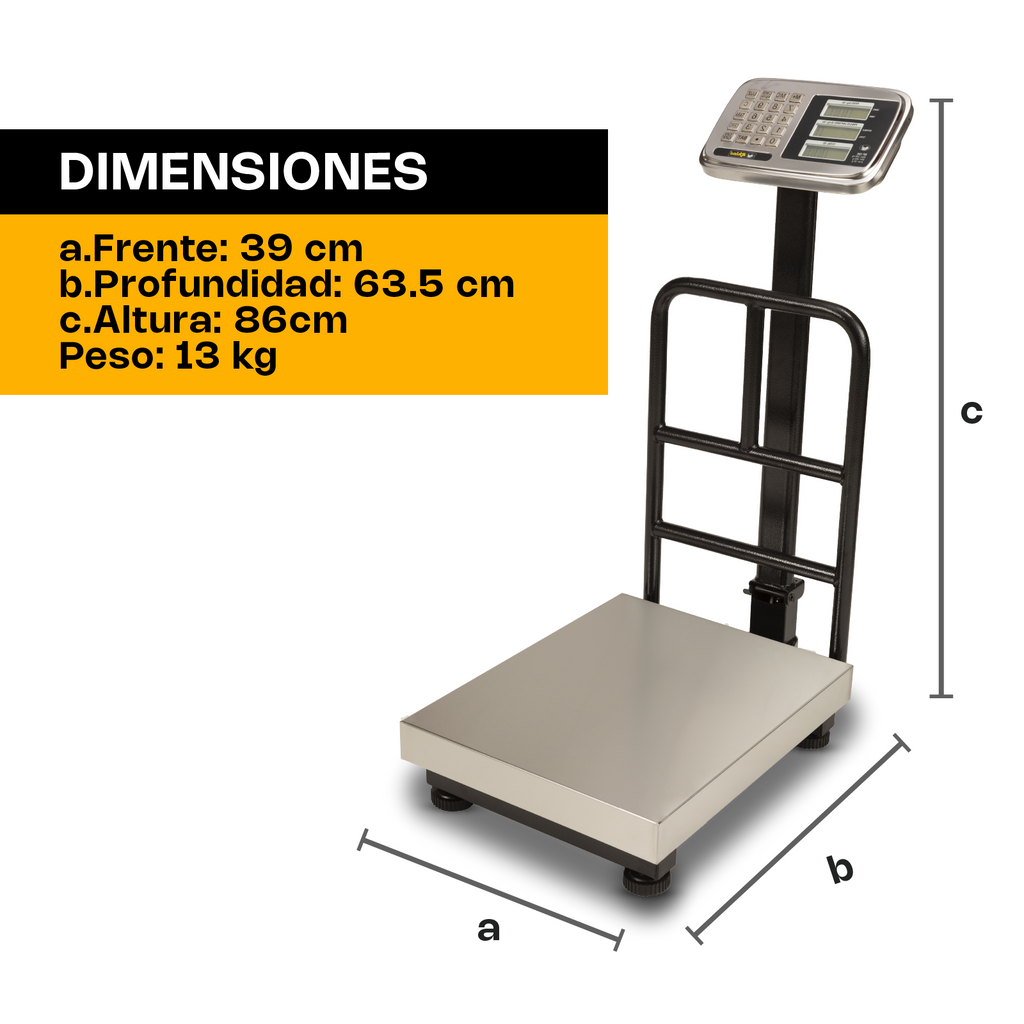 Báscula de Plataforma Plegable 200 kg Rhino